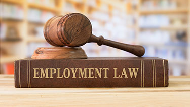 employment lawyer 