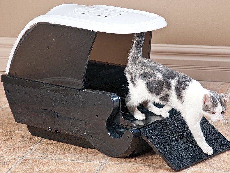 Cat Litter Box