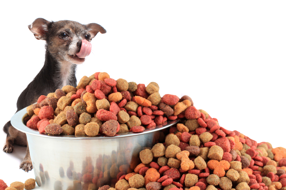 Dog Food Recipe