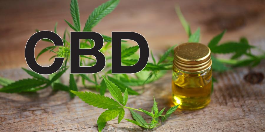 best cbd oil for pain