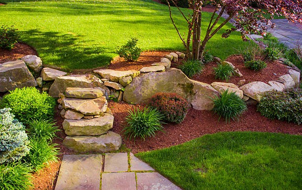 landscaping Andover, MN