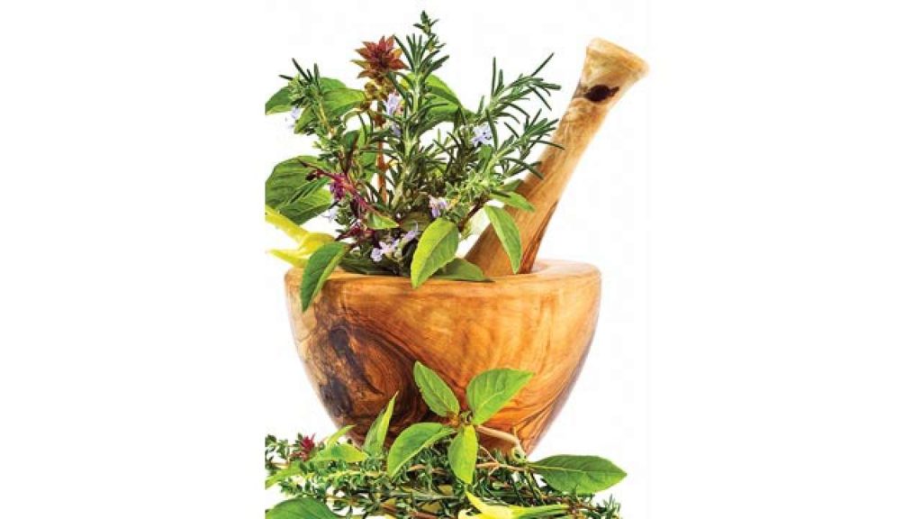 Ayurvedic Treatment