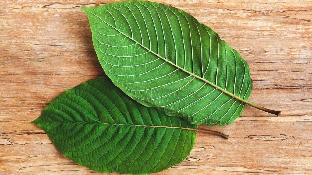 buy kratom