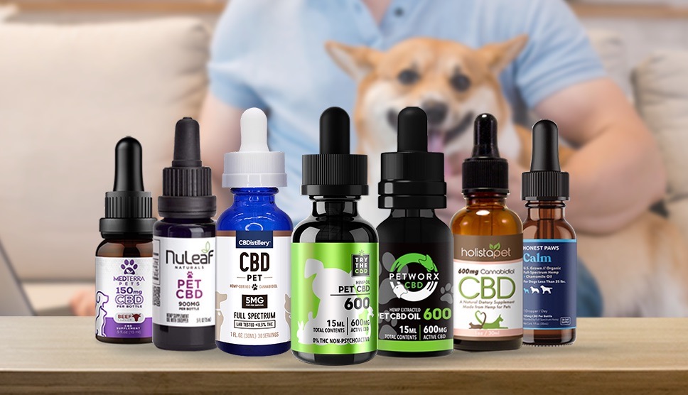 CBD Oils For Dog