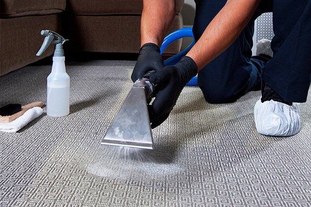 Carpet Cleaning