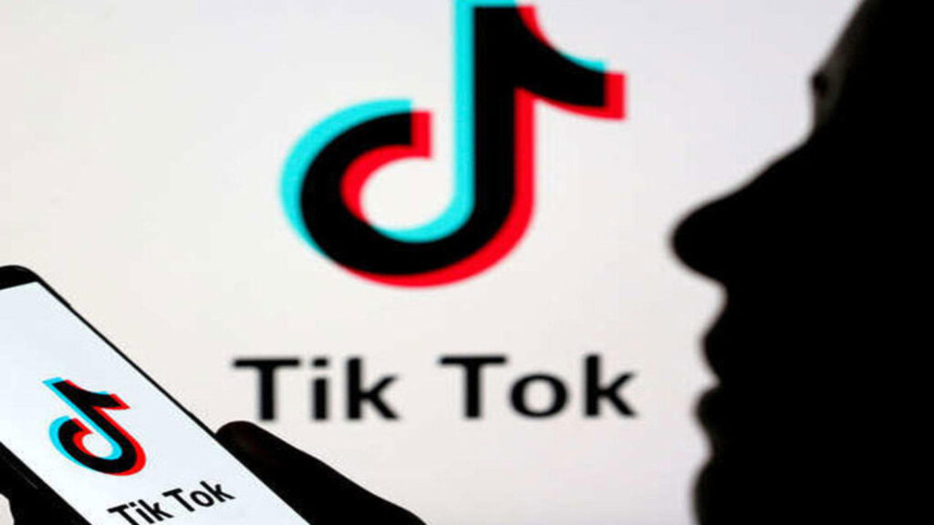 tiktok followers counter
