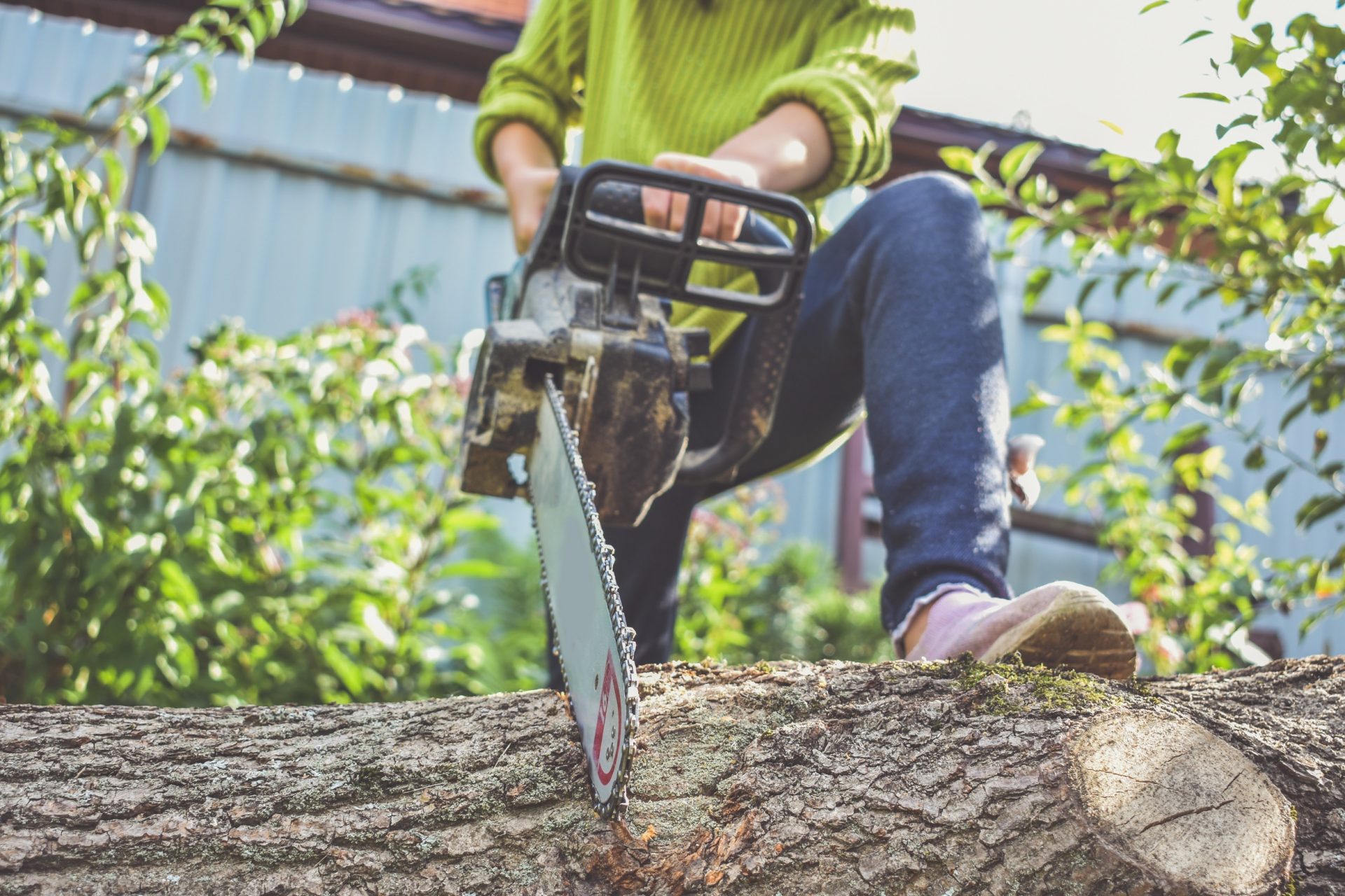 tree service