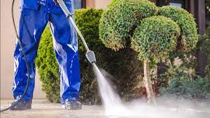 Pressure Washing Services